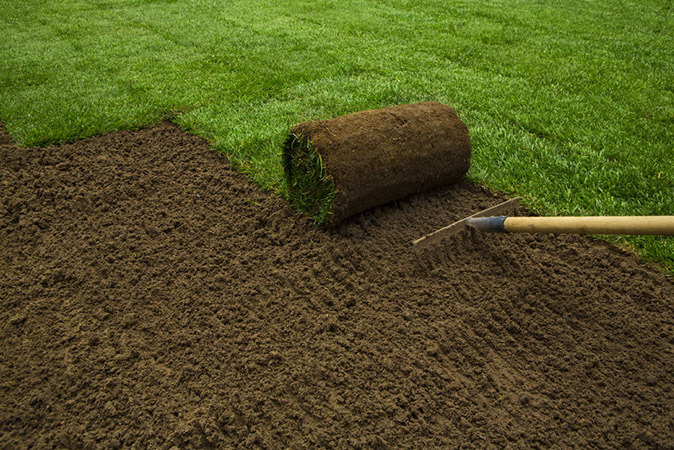 5-20-16_Lushlawns_InBlog 5-20-16_Lushlawns_InBlog
