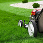 Lawn Care